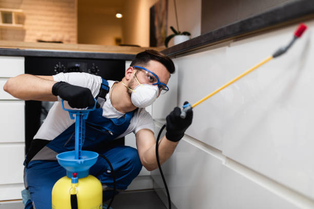 Best Residential Pest Control  in Kensett, AR