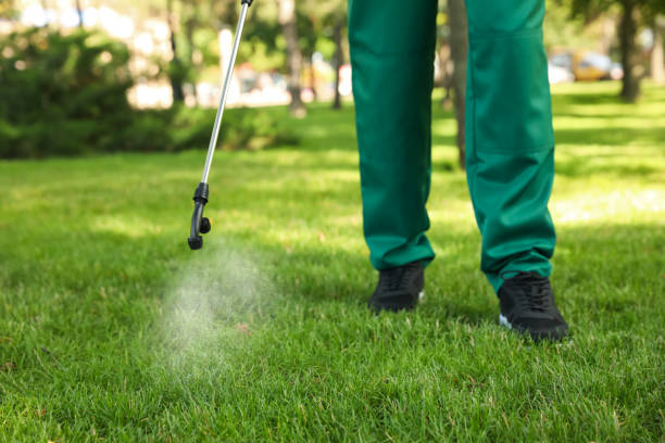 Best Best Pest Control Companies  in Kensett, AR