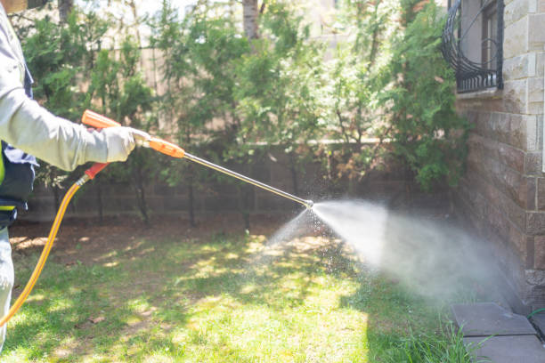Best Mosquito Control Services  in Kensett, AR