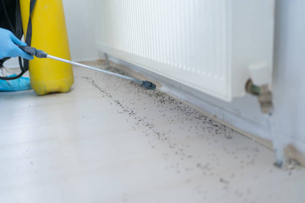 Best Pest Prevention Services  in Kensett, AR