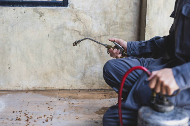 Professional Pest Control in Kensett, AR