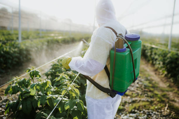 Best Local Pest Control Services  in Kensett, AR